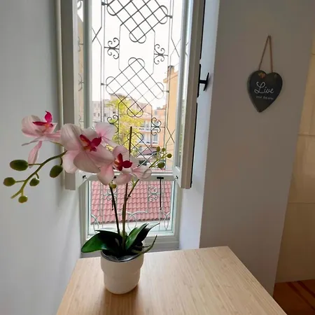 Athina Centre Luxury Renovated